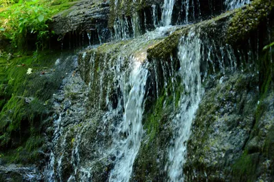 DSC_2757 (Large).JPG